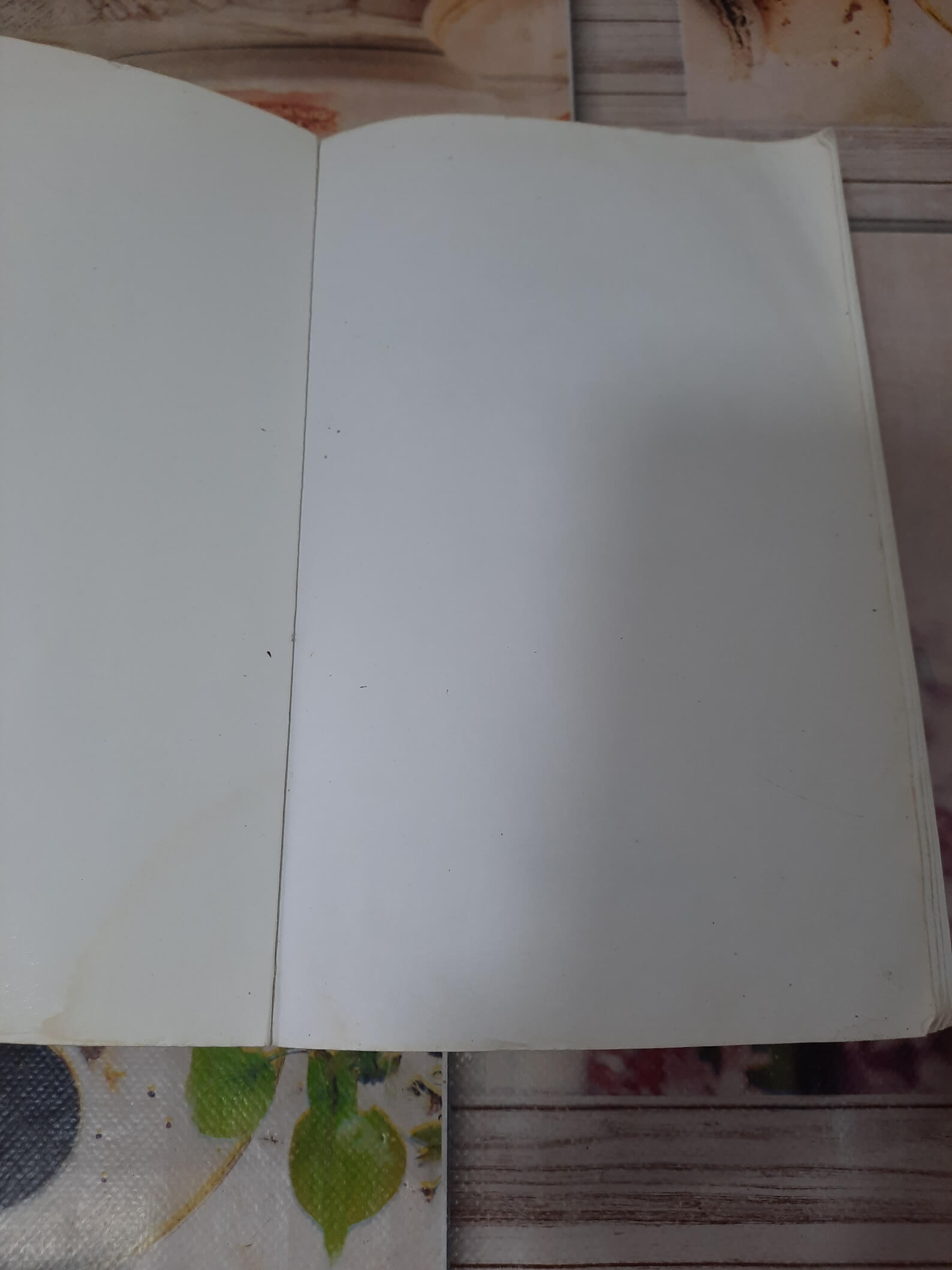 Ćerka moje najbolje prijateljice - Doroti Kumson