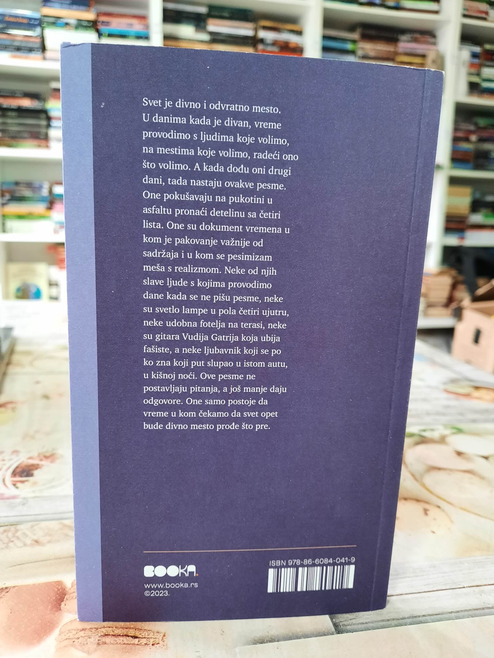 Ponekad se probudiš u Beogradu - Vladimir Skočajić