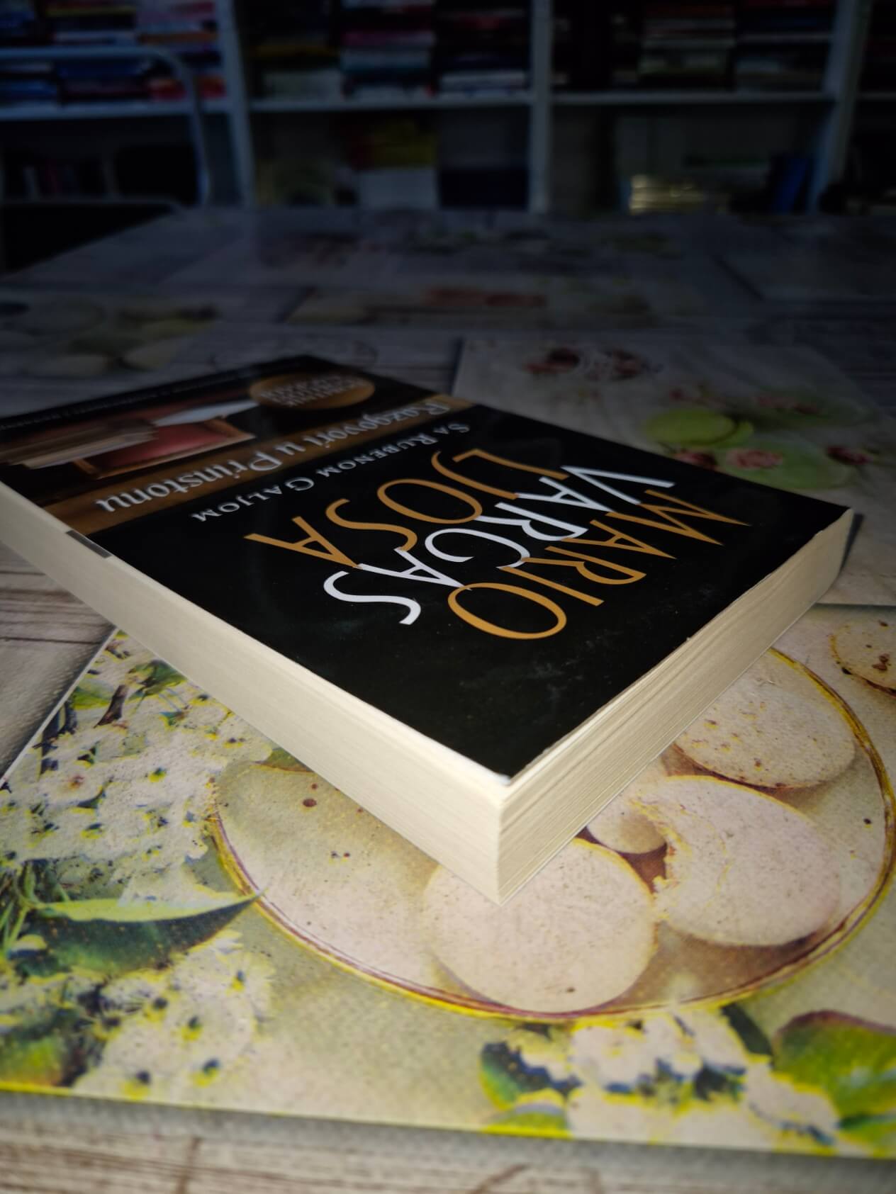 Razgovori u Prinstonu - Mario Vargas Ljosa 1