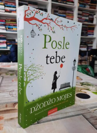 Posle tebe – Džožo Mojes