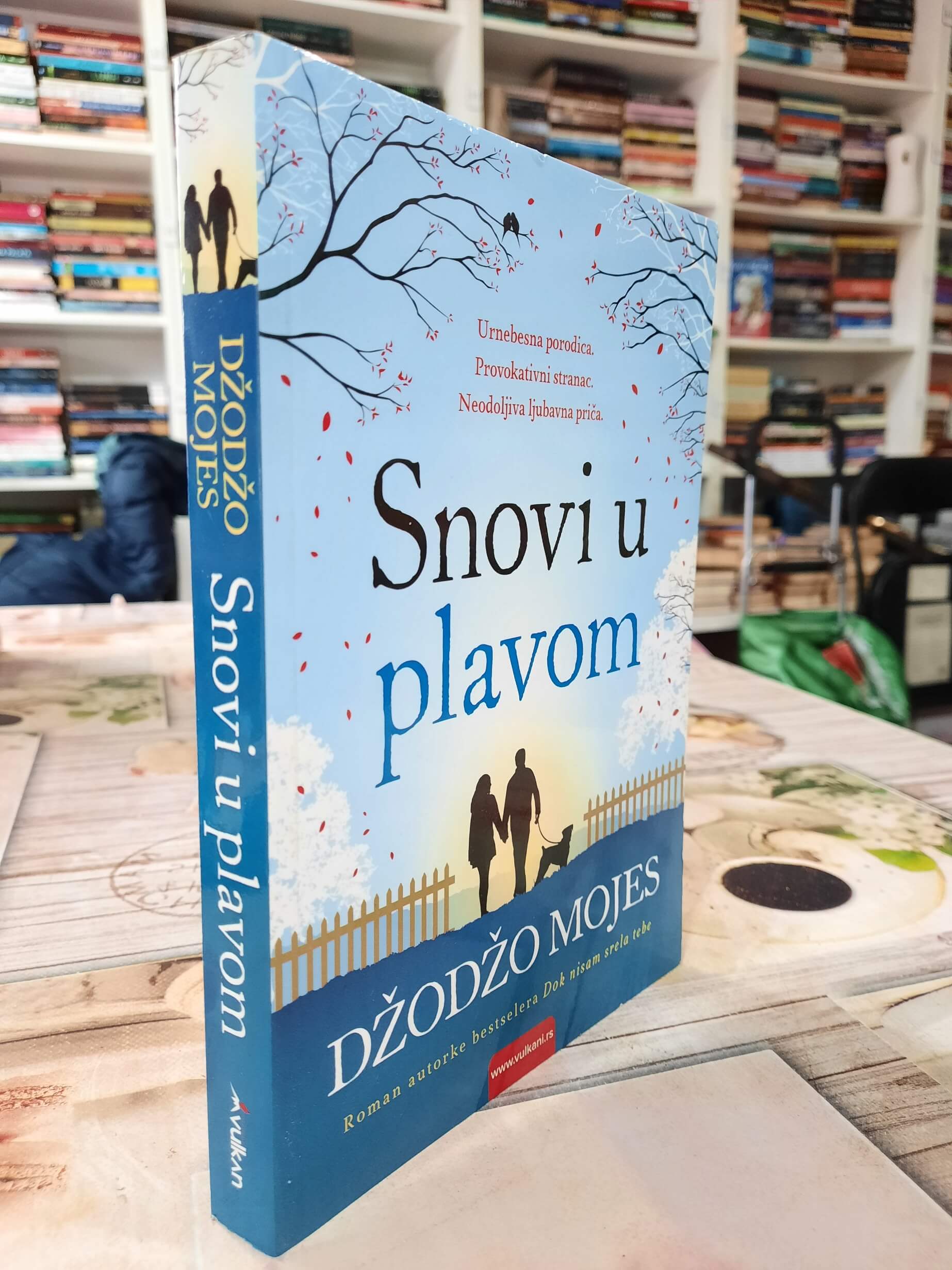 Snovi u plavom – Džožo Mojes