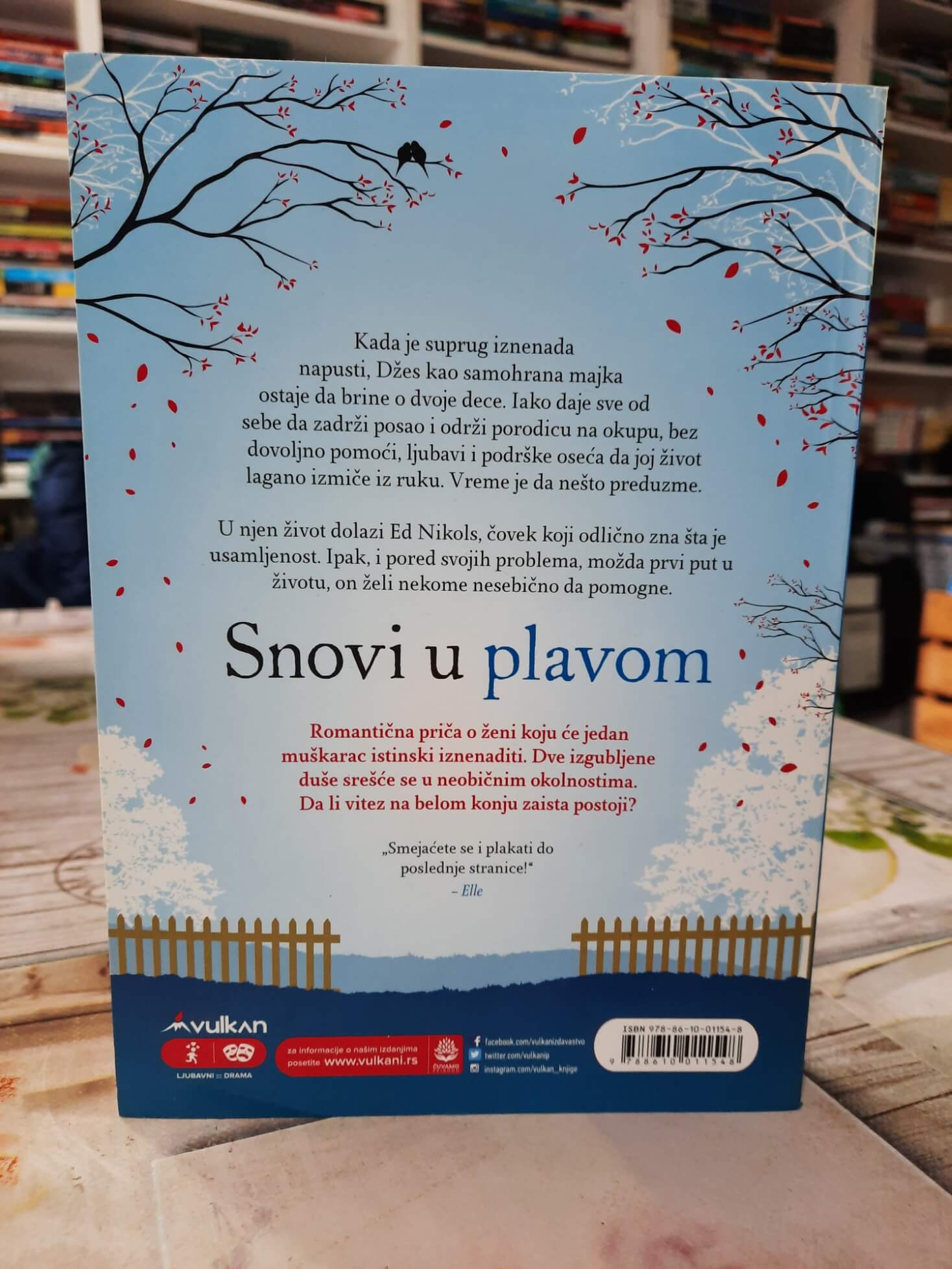 Snovi u plavom – Džožo Mojes