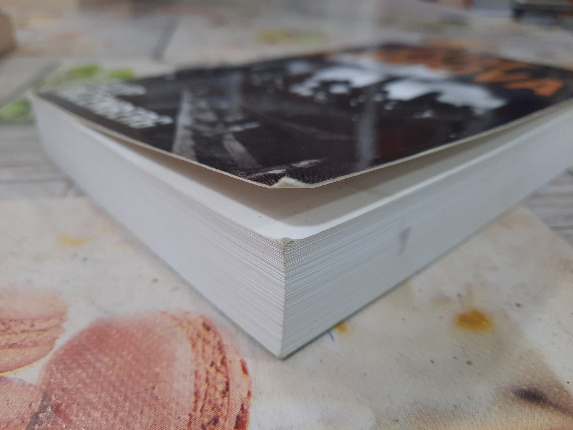 Dom lordova - Filip Rozenberg