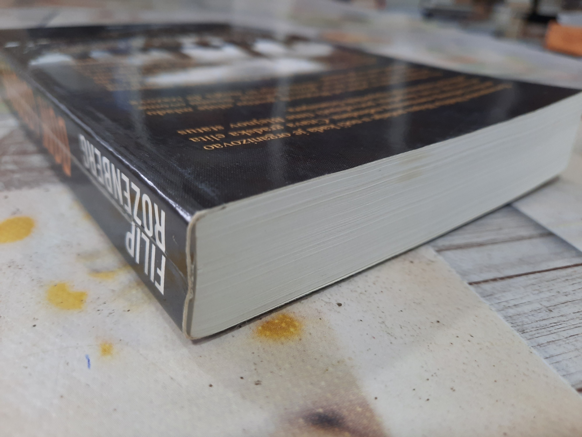 Dom lordova - Filip Rozenberg