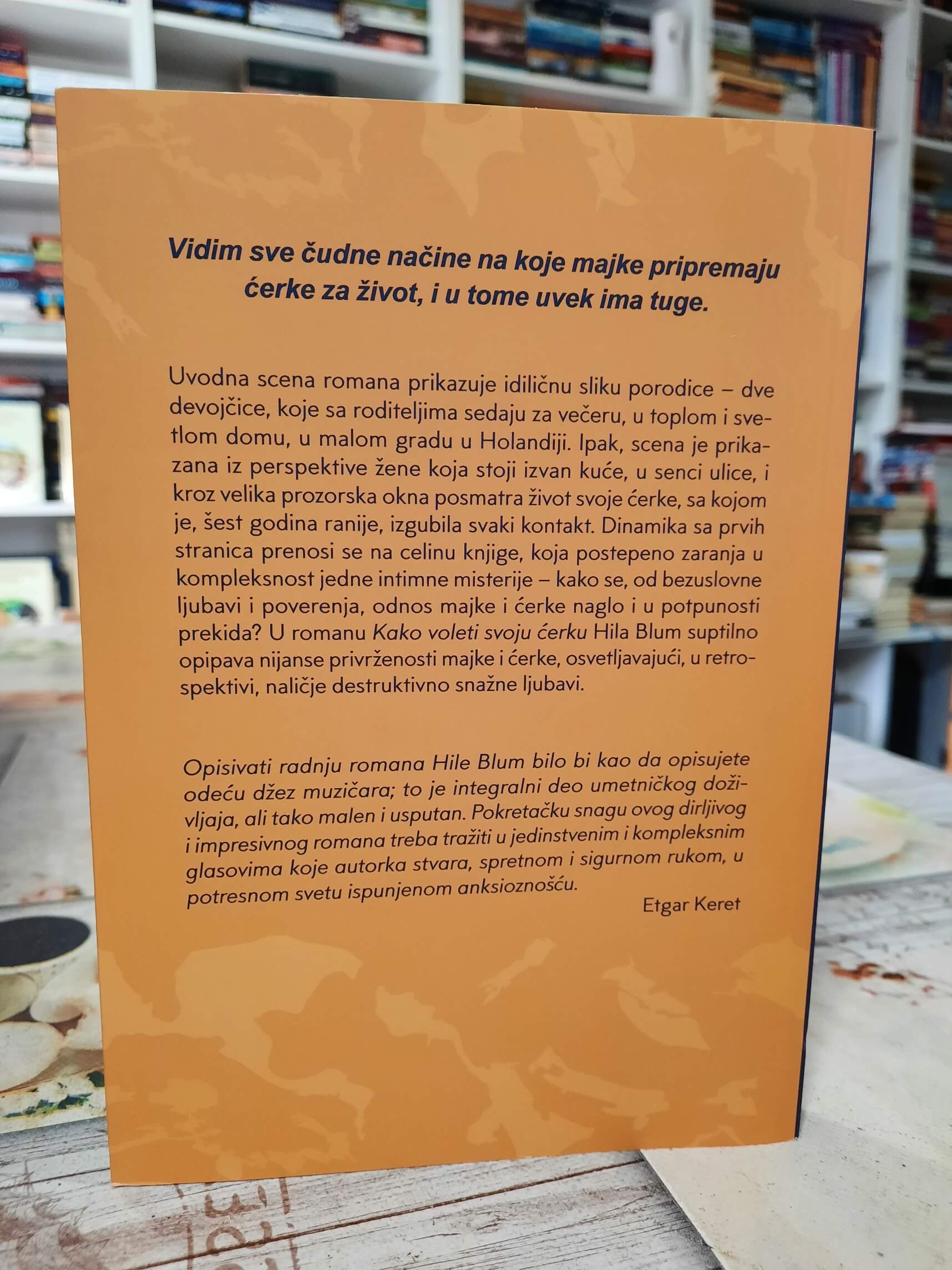 Kako voleti svoju ćerku - Hila Blum