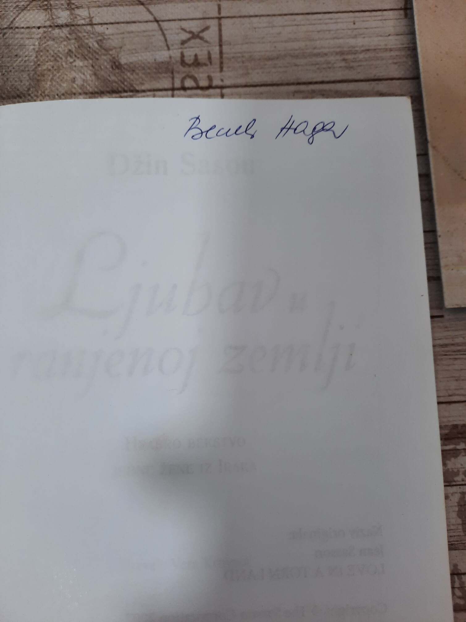 Ljubav u ranjenoj zemlji - Džin Sason