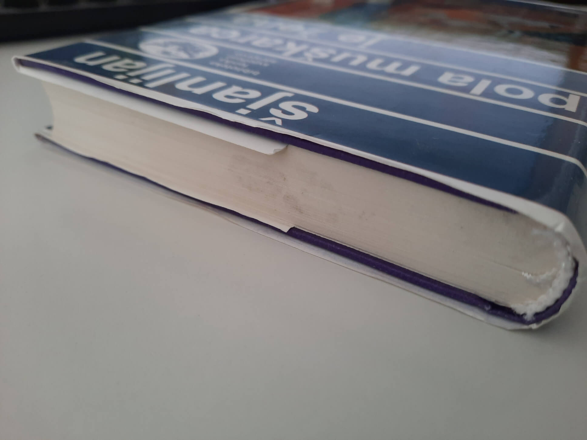 Pola muškarca je žena - Džan Šjanlijan