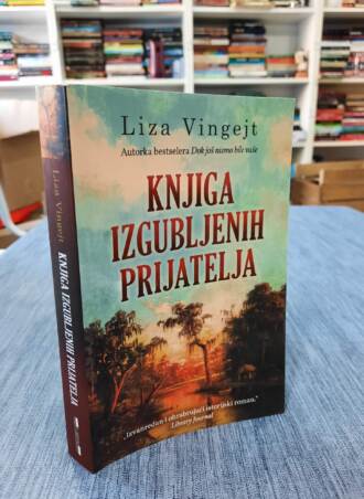Knjiga izgubljenih prijatelja – Liza Vingejt