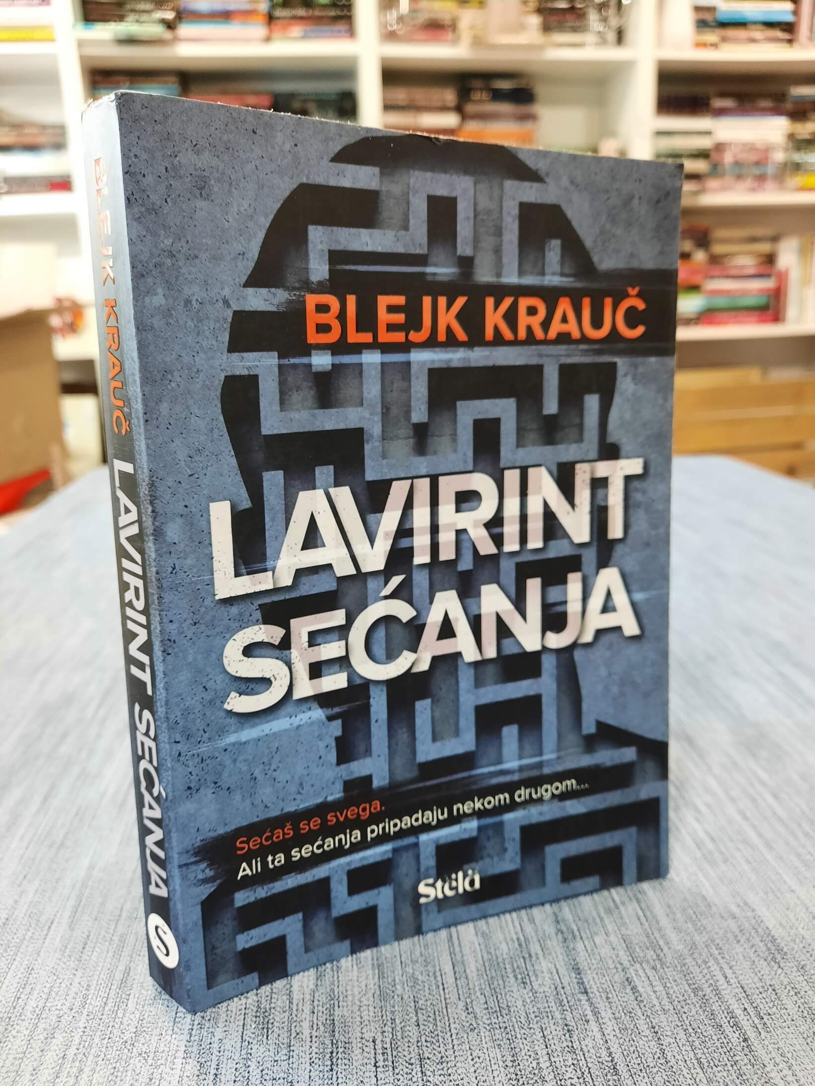 Lavirint sećanja - Blejk Krauč