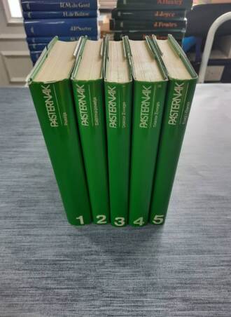 Pasternak 1 - 5