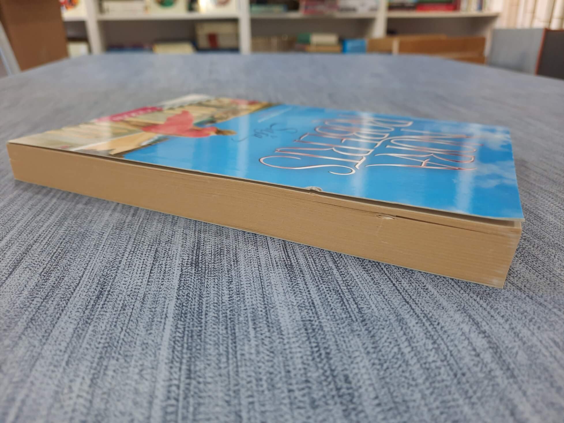 Saša - Nora Roberts